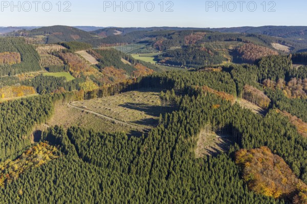 Aerial view, forest area with forest damage in the district Calle in Meschede, Sauerland, North Rhine-Westphalia, Germany, tree dieback, bark beetle damage, bark beetle plague, DE, Europe, distant view, spruce dieback, hilly landscape, clear-cutting, aerial view, aerial photography, aerial photography, aerial photography, Meschede, overview, bird's eye view, forest, forest damage, forest dieback, birds-eyes view, overview