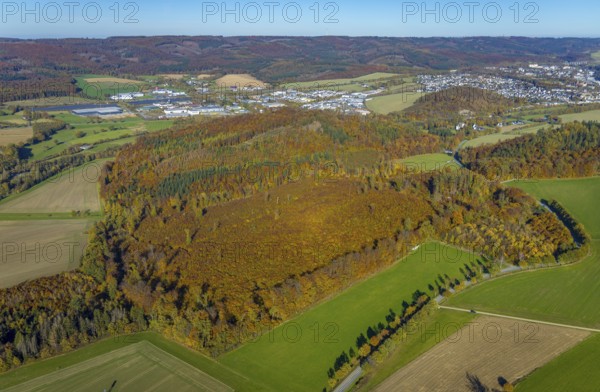 Aerial view, forest area in autumn colours at the industrial area Enste in the district Berghausen in Meschede, Sauerland, North Rhine-Westphalia, Germany, DE, Europe, commercial enterprises, commercial area, commercial park, commercial location, commercial use, autumn colours, autumn forest, autumn forest colours, industrial area, industrial location, aerial view, aerial photography, aerial photography, Meschede, mixed forest, overview, bird's-eye view, birds-eyes view, autumn forest, overview