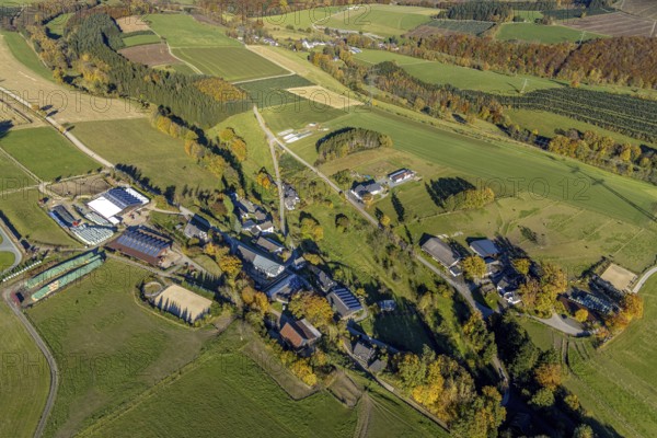 Aerial view, farms with solar roof in the district Mosebolle in the district Löllinghausen in Meschede, Sauerland, North Rhine-Westphalia, Germany, DE, Europe, hilly landscape, farm, aerial view, aerial photography, aerial photography, Meschede, photovoltaic, photovoltaic system, solar, solar system, solar roof, solar energy, overview, bird's eye view, meadows and fields, birds-eyes view, overview