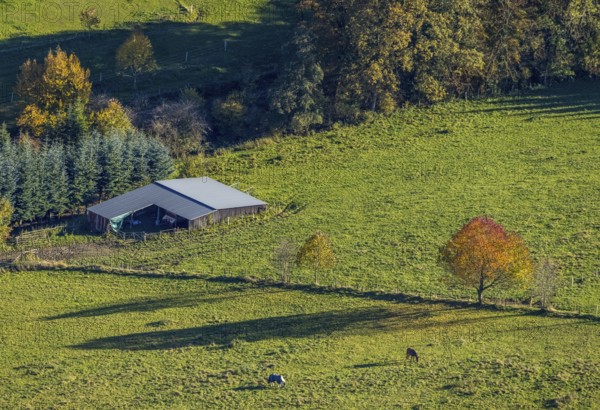 Aerial view, Golden October, hut at the forest and autumnal trees in a meadow in the district Mosebolle in the district Löllinghausen in Meschede, Sauerland, North Rhine-Westphalia, Germany, DE, Europe, autumn colours, hilly landscape, aerial view, aerial photography, aerial photography, Meschede, overview, bird's eye view, meadows and fields, birds-eyes view, overview