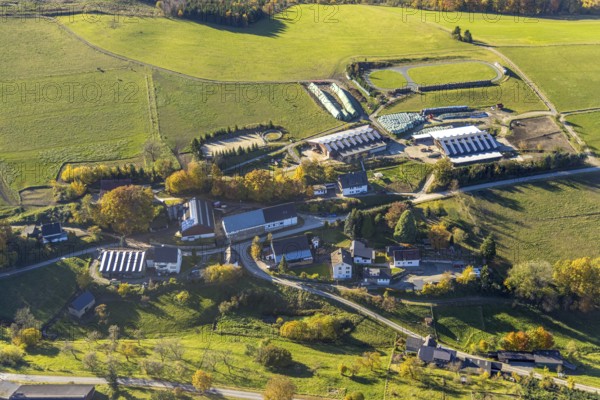 Aerial view, farms with solar roof in the district Mosebolle in the district Löllinghausen in Meschede, Sauerland, North Rhine-Westphalia, Germany, DE, Europe, hilly landscape, farm, aerial view, aerial photography, aerial photography, Meschede, photovoltaic, photovoltaic system, solar, solar system, solar roof, solar energy, overview, bird's eye view, meadows and fields, birds-eyes view, overview
