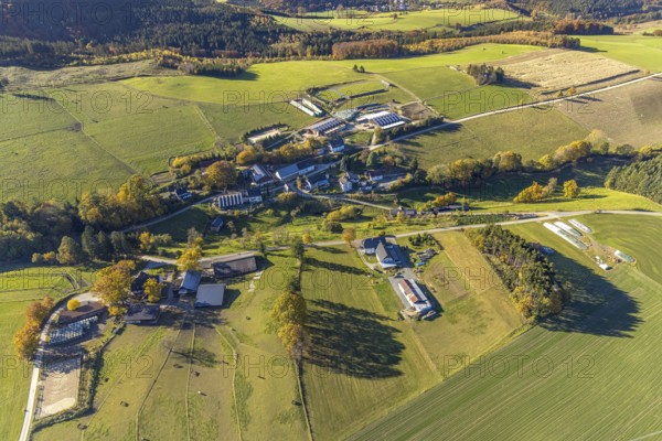 Aerial view, farms with solar roof in the district Mosebolle in the district Löllinghausen in Meschede, Sauerland, North Rhine-Westphalia, Germany, DE, Europe, hilly landscape, farm, aerial view, aerial photography, aerial photography, Meschede, photovoltaic, photovoltaic system, solar, solar system, solar roof, solar energy, overview, bird's eye view, meadows and fields, birds-eyes view, overview