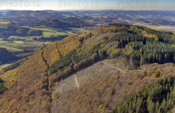 Aerial view, hilly landscape with forest damage in Meschede town in Meschede, Sauerland, North Rhine-Westphalia, Germany, tree dieback, bark beetle damage, bark beetle plague, DE, Europe, distant view, spruce dieback, clear-cutting, aerial view, aerial photography, aerial photography, Meschede, drought, overview, bird's eye view, forest, forest area, forest damage, forest dieback, water shortage, birds-eyes view, overview