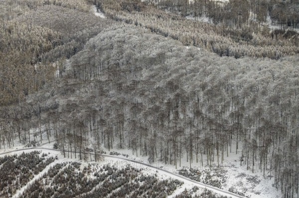 Aerial view of the Arnsberg Forest near Meschede in winter with snow in the Sauerland in North Rhine-Westphalia, Germany, Warstein, Sauerland, North Rhine-Westphalia, DE, Europe, aerial photo, birds-eyes view, aerial photography, aerial photography, overview, bird's eye view