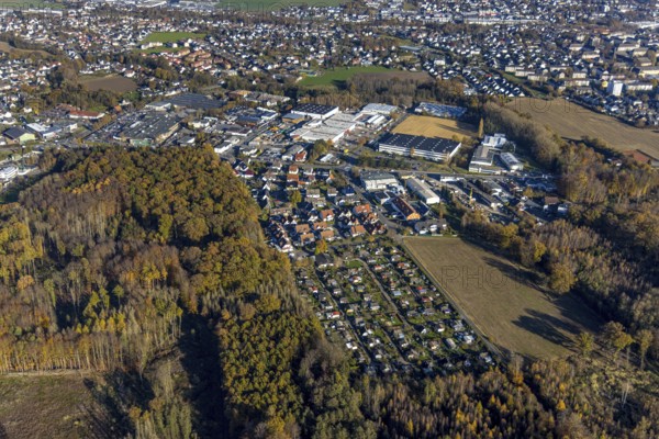 Aerial view, allotment garden site Menden Platte Heide and commercial area Holzener Straße in the district Holzen in Menden, Sauerland, North Rhine-Westphalia, Germany, DE, Europe, community garden, commercial enterprises, commercial area, commercial area, commercial park, commercial site, commercial use, industrial area, industrial site, allotment garden, allotment garden site, allotment garden association, allotment garden association, aerial view, aerial photography, aerial photography, Menden, allotment garden, overview, bird's-eye view, overview