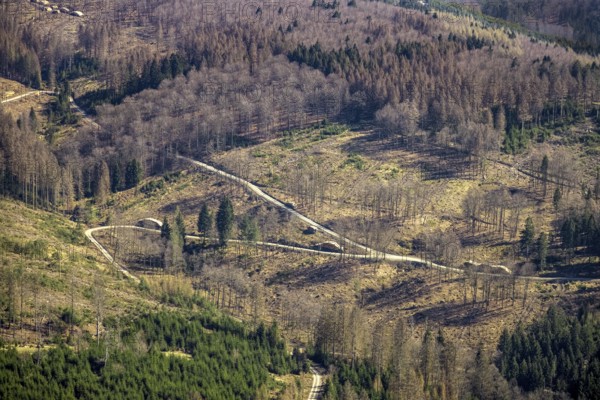 Aerial photo, forest damage and forest dieback, Wennemer Höhweg, Wennemen, Meschede, Sauerland, North Rhine-Westphalia, Germany, deforestation, DE, Europe, aerial photo, aerial photography, aerial photography, overview, bird's-eye view, forest, forest area, forest damage, forest dieback, birds-eyes view, overview, spruce dieback, drought, bark beetle plague