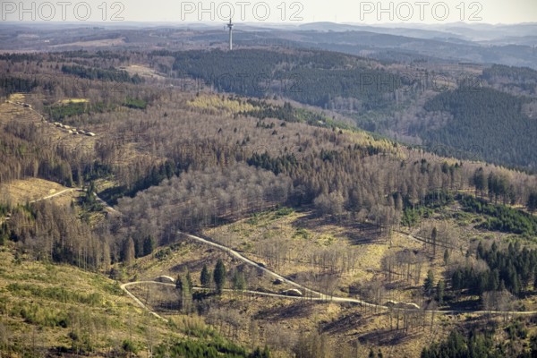 Aerial photo, forest damage and forest dieback, Wennemer Höhweg, Wennemen, Meschede, Sauerland, North Rhine-Westphalia, Germany, deforestation, DE, Europe, aerial photo, aerial photography, aerial photography, overview, bird's-eye view, forest, forest area, forest damage, forest dieback, birds-eyes view, overview, spruce dieback, drought, bark beetle plague