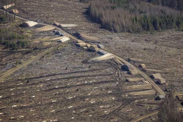 Aerial photo, forest damage and forest dieback, Wennemer Höhweg, Wennemen, Meschede, Sauerland, North Rhine-Westphalia, Germany, deforestation, DE, Europe, aerial photo, aerial photography, aerial photography, overview, bird's-eye view, forest, forest area, forest damage, forest dieback, birds-eyes view, overview, spruce dieback, drought, bark beetle plague