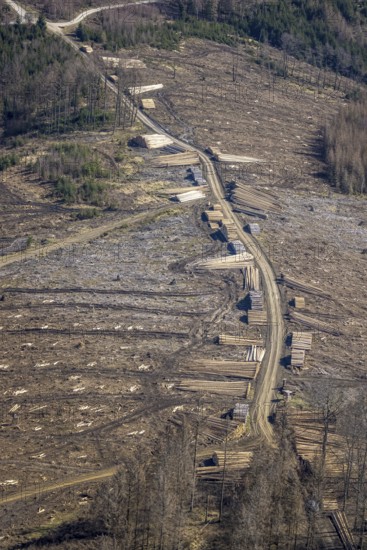 Aerial photo, forest damage and forest dieback, Wennemer Höhweg, Wennemen, Meschede, Sauerland, North Rhine-Westphalia, Germany, deforestation, DE, Europe, aerial photo, aerial photography, aerial photography, overview, bird's-eye view, forest, forest area, forest damage, forest dieback, birds-eyes view, overview, spruce dieback, drought, bark beetle plague