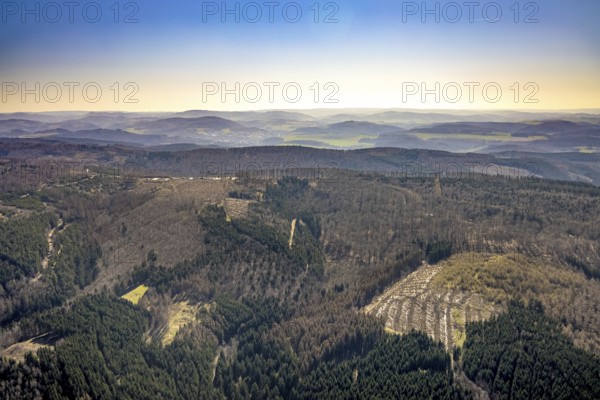 Aerial photo, forest damage and forest dieback, Wennemer Höhweg, Wennemen, Meschede, Sauerland, North Rhine-Westphalia, Germany, deforestation, DE, Europe, distant view, aerial view, aerial photography, aerial photography, overview, bird's-eye view, forest, forest area, forest damage, forest dieback, birds-eyes view, overview, spruce dieback, drought, bark beetle plague