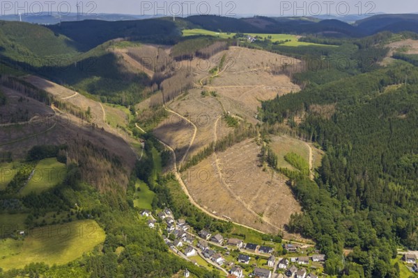 Aerial view, forest area with forest damage, Langenei, Kickenbach, Lennestadt, Sauerland, North Rhine-Westphalia, Germany, tree dieback, bark beetle damage, bark beetle plague, DEU, Europe, spruce dieback, clear-cutting, aerial view, aerial photography, aerial photography, overview, bird's-eye view, forest, forest damage, forest dieback, birds-eyes view, overview