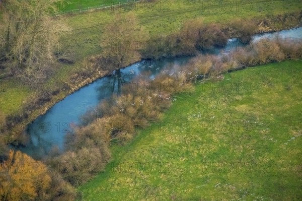 Aerial view of the national nature reserve Lippeauen at the river Lippe with the observation hut Disselmersch near Heintrop in Lippetal in North Rhine-Westphalia, Germany. Geese fly over the river Lippe, Lippetal, Ruhr area, North Rhine-Westphalia, Germany, DE, Europe, aerial photo, birds-eyes view, aerial photography, aerial photography, overview, bird's eye view