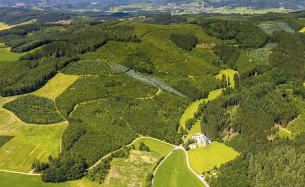 Aerial view, healthy Oberelsper forest, Im Tiefensiepen, Altenvalbert, Lennestadt, Sauerland, North Rhine-Westphalia, Germany, DEU, Europe, aerial view, aerial photography, aerial photography, overview, bird's-eye view, overview