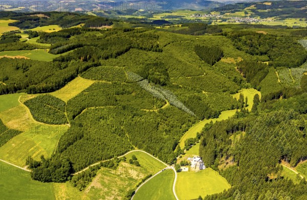 Aerial view, healthy Oberelsper forest, Im Tiefensiepen, Altenvalbert, Lennestadt, Sauerland, North Rhine-Westphalia, Germany, DEU, Europe, aerial view, aerial photography, aerial photography, overview, bird's-eye view, overview