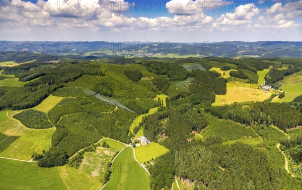 Aerial view, healthy Oberelsper forest, Im Tiefensiepen, Altenvalbert, Lennestadt, Sauerland, North Rhine-Westphalia, Germany, DEU, Europe, distant view, aerial view, aerial photography, aerial photography, overview, bird's-eye view, forest, forest area, birds-eyes view, overview