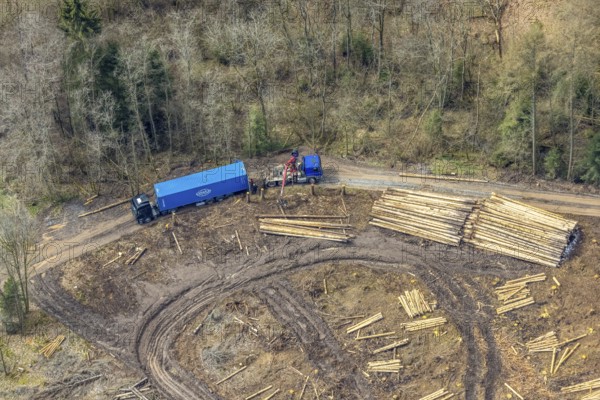 Aerial view, harvester and lorry removal, forest damage at Kihlenberg, Kruberg, Kirchhundem, Sauerland, Olpe district, North Rhine-Westphalia, Germany, DE, Europe, harvester, timber harvester, crane harvester, landscape conservation area, aerial view, aerial photography, aerial photography, overview, bird's-eye view, juniper heath Kihlenberg, forest harvester, birds-eyes view, overview