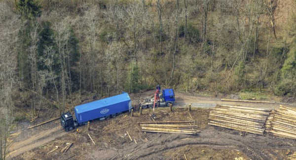 Aerial view, harvester and lorry removal, forest damage at Kihlenberg, Kruberg, Kirchhundem, Sauerland, Olpe district, North Rhine-Westphalia, Germany, DE, Europe, harvester, timber harvester, crane harvester, landscape conservation area, aerial view, aerial photography, aerial photography, overview, bird's-eye view, juniper heath Kihlenberg, forest harvester, birds-eyes view, overview