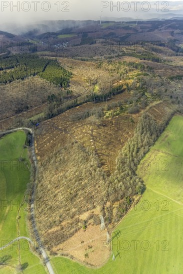 Aerial view, forest damage at Kihlenberg, Kruberg, Kirchhundem, Sauerland, Olpe district, North Rhine-Westphalia, Germany, DE, Europe, landscape conservation area, aerial view, aerial photography, aerial photography, overview, bird's eye view, juniper heath Kihlenberg, birds-eyes view, overview, bark beetle damage, spruce dieback