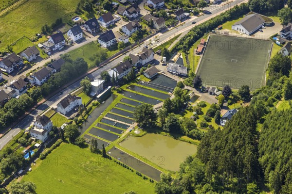 Aerial view, local view Oberelspe with sports field and fish ponds, Lennestadt, Sauerland, North Rhine-Westphalia, Germany, mountains and valleys, DEU, Europe, football pitch, aerial view, aerial photography, aerial photography, sports, sports facilities, sports field, sports facility, overview, bird's eye view, forest, forest area, birds-eyes view, overview