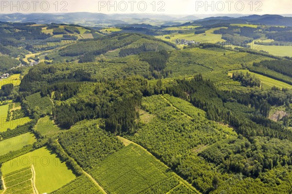 Aerial photo, mill undermining, healthy Oberelsper forest, Im Tiefensiepen, Altenvalbert, Lennestadt, Sauerland, North Rhine-Westphalia, Germany, DEU, Europe, distant view, aerial view, aerial photography, aerial photography, overview, bird's-eye view, forest, forest area, birds-eyes view, overview