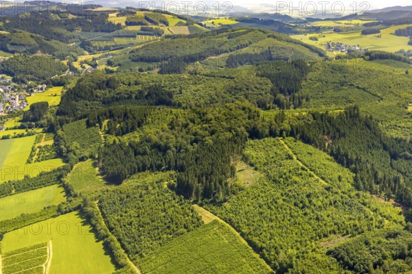 Aerial photo, mill undermining, healthy Oberelsper forest, Im Tiefensiepen, Altenvalbert, Lennestadt, Sauerland, North Rhine-Westphalia, Germany, DEU, Europe, distant view, aerial view, aerial photography, aerial photography, overview, bird's-eye view, forest, forest area, birds-eyes view, overview