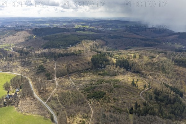 Aerial view, forest damage at Kihlenberg, Kruberg, Kirchhundem, Sauerland, Olpe district, North Rhine-Westphalia, Germany, DE, Europe, landscape conservation area, aerial view, aerial photography, aerial photography, overview, bird's eye view, juniper heath Kihlenberg, birds-eyes view, overview