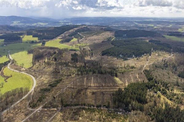 Aerial view, forest damage at Kihlenberg, Kruberg, Kirchhundem, Sauerland, Olpe district, North Rhine-Westphalia, Germany, DE, Europe, landscape conservation area, aerial view, aerial photography, aerial photography, overview, bird's eye view, juniper heath Kihlenberg, birds-eyes view, overview