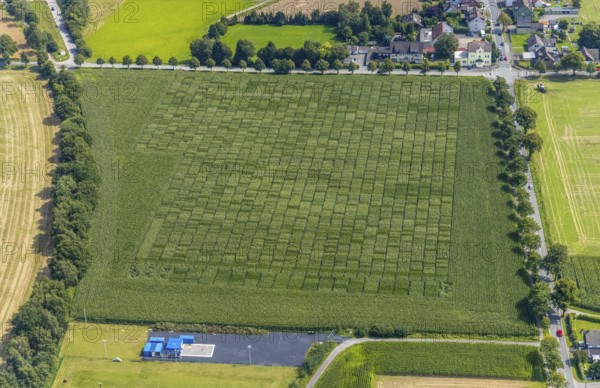 Aerial view, meadows and fields Werver Mark, Schillerstraße and corner Mühlhauser Straße in the district Heeren-Werve, Kamen, Ruhr area, North Rhine-Westphalia, Germany, DE, Europe, aerial view, aerial photography, aerial photography, overview, bird's-eye view, meadows and fields, birds-eyes view, overview