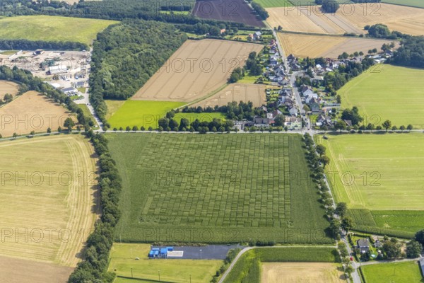 Aerial view, meadows and fields Werver Mark, Schillerstraße and corner Mühlhauser Straße in the district Heeren-Werve, Kamen, Ruhr area, North Rhine-Westphalia, Germany, DE, Europe, aerial view, aerial photography, aerial photography, overview, bird's-eye view, meadows and fields, birds-eyes view, overview