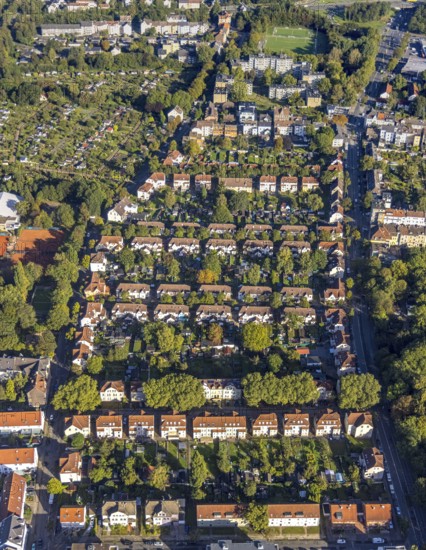 Aerial view, terraced house workers' housing estate Pluto Colliery Hüttenstrasse with trees between Hammerschmidtstrasse and Emscherstrasse in the district of Wanne in Herne, Ruhr area, North Rhine-Westphalia, Germany, workers' housing estate, miners' housing estate, DE, Europe, property tax, green trees, Herne, real estate, aerial view, aerial photography, aerial photography, overview, bird's-eye view, housing estate, housing and living, residential area, residential buildings, housing quality, residential neighbourhood, housing estate, colliery housing estate, birds-eyes view, overview