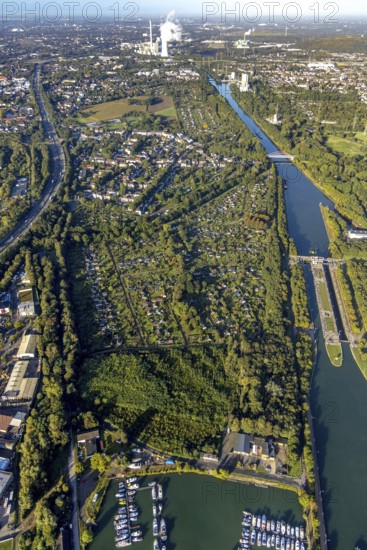 Aerial view, allotment garden association Horsthausen and allotment garden association Herne-Baukau with new meadow orchard Holper Heide at the Rhine-Herne canal in the district Horsthausen in Herne, Ruhr area, North Rhine-Westphalia, Germany, DE, Europe, community garden, Herne, KGV, allotment garden, allotment garden site, allotment garden association, allotment gardener association, landscape park orchard Holper Heide, aerial view, aerial photography, fruit tree park, allotment garden, overview, bird's-eye view, overview