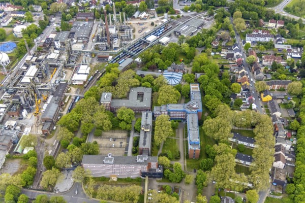 Aerial view, Quartier Shamrockpark of the former RAG AG, Shamrockring, Herne-Mitte, Herne, Ruhr area, North Rhine-Westphalia, Germany, DE, Europe, commercial buildings, property tax, real estate, aerial view, aerial photography, aerial photography, overview, bird's eye view, residential buildings, birds-eyes view, overview