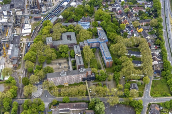 Aerial view, Quartier Shamrockpark of the former RAG AG, Shamrockring, Herne-Mitte, Herne, Ruhr area, North Rhine-Westphalia, Germany, DE, Europe, commercial buildings, property tax, real estate, aerial view, aerial photography, aerial photography, overview, bird's eye view, residential buildings, birds-eyes view, overview