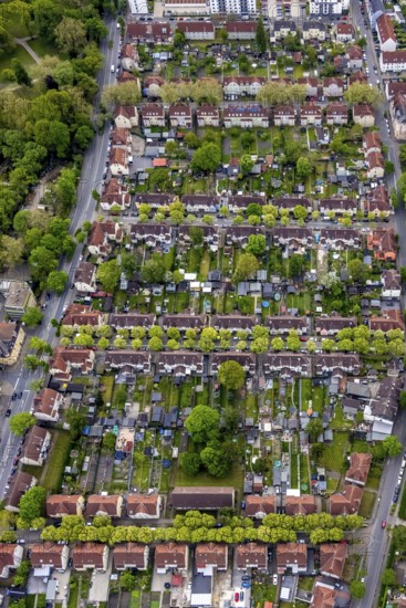 Aerial view, housing estate Hammerschmidtstrasse, Emscherstrasse, Wanne, Herne, Ruhr area, North Rhine-Westphalia, Germany, DE, Europe, Glückaufstrasse, property tax, Hüttenstrasse, real estate, aerial view, aerial photography, aerial photography, Schalkestrasse, overview, bird's-eye view, housing estate, housing and living, residential area, residential buildings, quality of living, residential neighbourhood, housing estate, birds-eyes view, overview
