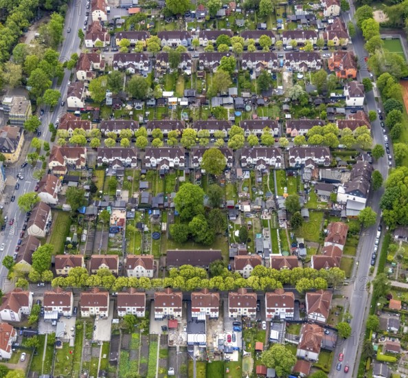Aerial view, housing estate Hammerschmidtstrasse, Emscherstrasse, Wanne, Herne, Ruhr area, North Rhine-Westphalia, Germany, DE, Europe, Glückaufstrasse, property tax, Hüttenstrasse, real estate, aerial view, aerial photography, aerial photography, Schalkestrasse, overview, bird's-eye view, housing estate, housing and living, residential area, residential buildings, quality of living, residential neighbourhood, housing estate, birds-eyes view, overview