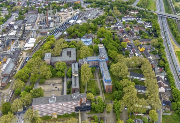 Aerial view, Quartier Shamrockpark of the former RAG AG, Shamrockring, Herne-Mitte, Herne, Ruhr area, North Rhine-Westphalia, Germany, DE, Europe, commercial buildings, property tax, real estate, aerial view, aerial photography, aerial photography, overview, bird's eye view, residential buildings, birds-eyes view, overview