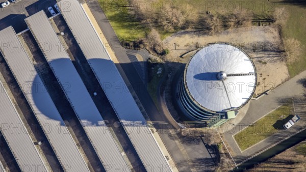 Aerial view, gasometer Herne, industrial area at the Lindenallee, Holsterhausen, Herne, Ruhr area, North Rhine-Westphalia, Germany, DE, Europe, commercial enterprises, commercial area, commercial park, commercial location, commercial use, industrial plants, industrial area, industrial location, aerial photograph, aerial photography, aerial photography, overview, bird's-eye view, birds-eyes view, overview