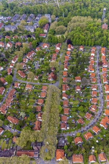 Aerial view, housing estate Gartenstadt Teutoburgia, colliery housing estate, Börnig, Herne, Ruhr area, North Rhine-Westphalia, Germany, workers' housing estate, Baarestraße, DE, monument protection, Europe, property tax, green areas, green trees, gardens, real estate, aerial view, aerial photography, aerial photography, apartment blocks, Rhine-Ruhr metropolitan region, landmark, overview, bird's-eye view, housing estate, housing and living, residential area, residential buildings, residential quality, residential neighbourhood, housing estate, housing estate Teutoburgia, birds-eyes view, overview, red roofs