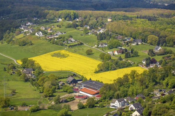 Aerial view, rape field and water tower Kermelberg, horse pension Gut Kermelbach, Westende, Herdecke, Ruhr area, North Rhine-Westphalia, Germany, DE, Europe, aerial view, aerial photography, aerial photography, horses, horse pension, equestrian sports, riding centre, riding school, riding stable, tower, overview, bird's-eye view, overview