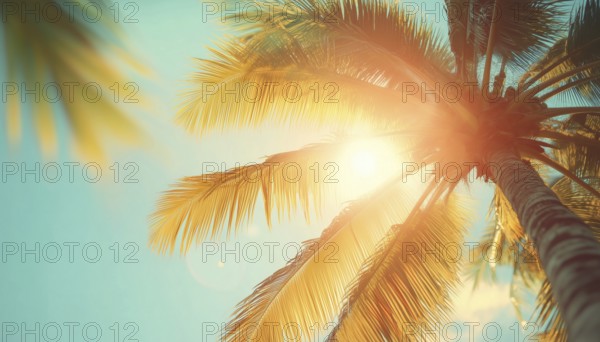 Tropical Palm Trees: Romantic Sunset Vibes In Outdoor Exotic Setting With Bright Sunlight And Lush Foliage. Summer Spring Landscape Beauty, AI generated