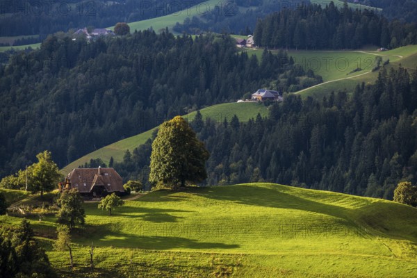Panorama, view from Lüderenalp, Emmental, Canton Bern, Switzerland