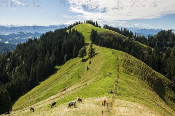 Panorama, snow-covered mountains, Bernese Oberland, view from Lüderenalp, Emmental, Canton of Bern, Switzerland