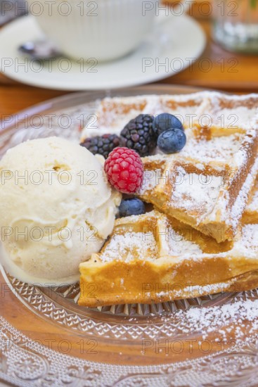 Waffles with icing sugar and berries next to a scoop of ice cream on a plate