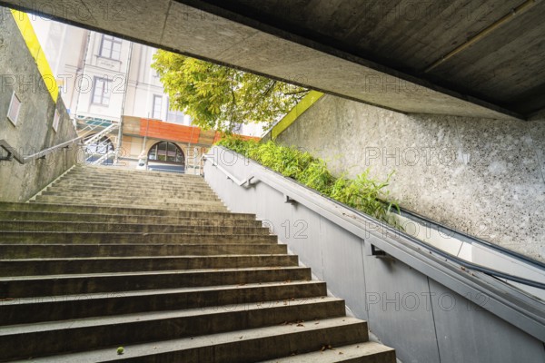 Grey staircase leads into an underground station. Concrete walls and green plants along the staircase, Munich, Germany