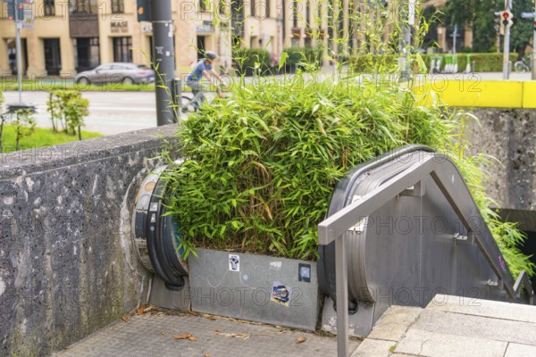 Underground entrance with lush vegetation and escalator, in an urban environment, Munich, Germany