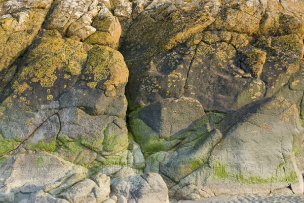 Detail of a colorful rock formation near Mont Saint Michel Abbey in Lower Normandy France