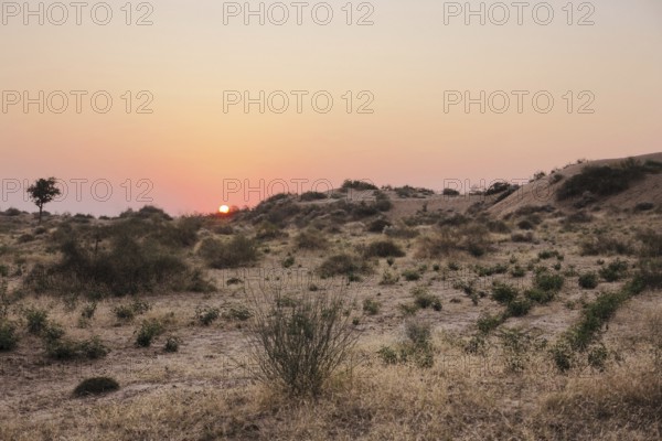 Idyllic sundown at Thar Desert in India