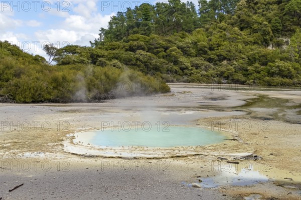 Geothermal area named Waiotapu in New Zealand