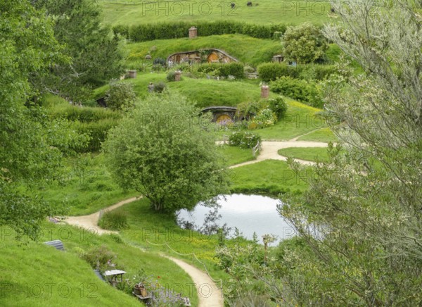 Idyllic scenery at The Shire represented by a region near Matama at the North Island of New Zealand