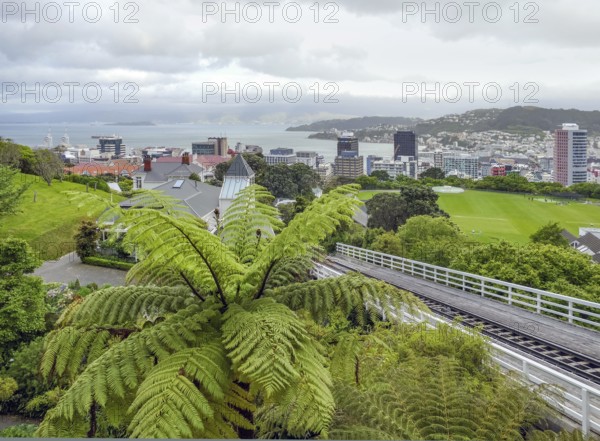 Impression of Wellington, the capital city of New Zealand